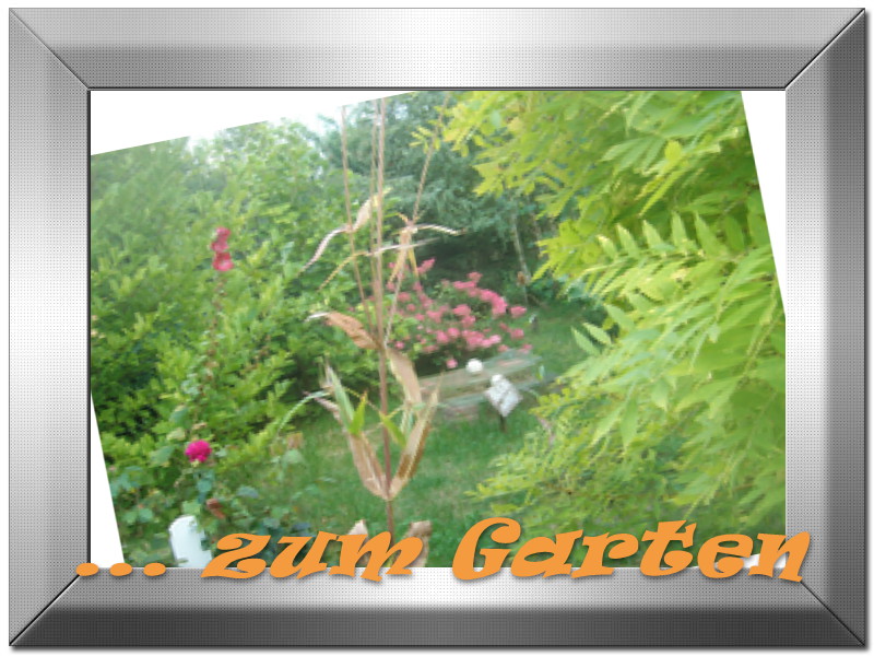 ... zum Garten