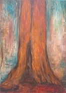 Sequoiadendron giganteum,  70x50 cm, 2014
