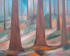 Redwoods on the Pacific, 80x100 cm, 2013