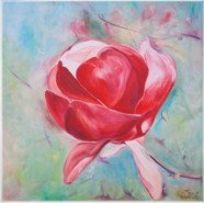 Magnolienblüte rot, 50x50 cm 