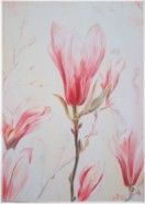Magnolienblüten, 70x50 cm 