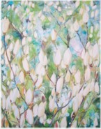 Blühender Magnolienbaum. 100x80 cm 